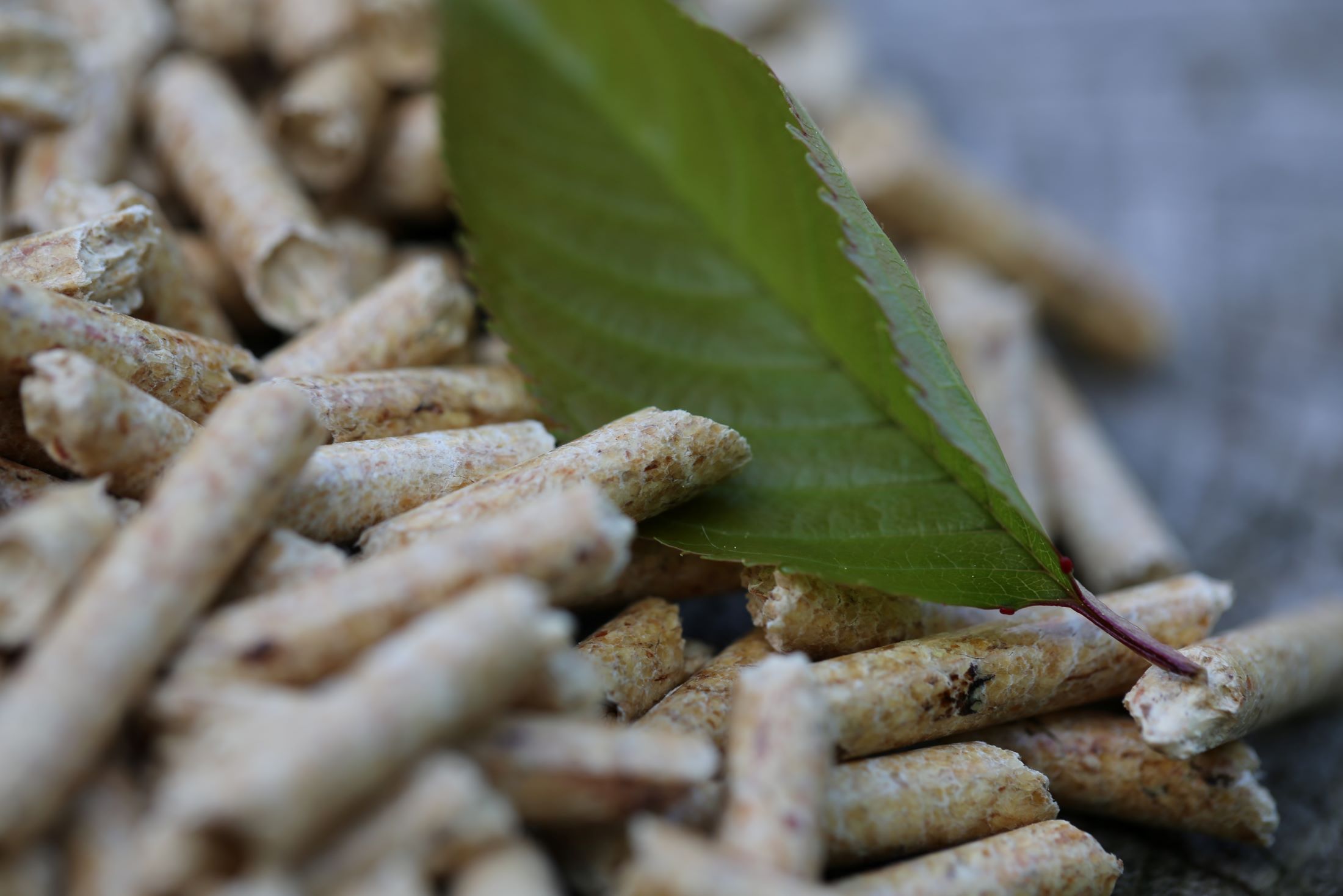 Ausgezeichnete Qualität - Waldenergie AG in Winznau - Holzpellets und Brennholz aus der Schweiz, Unterhalt von Naturstrassen 4