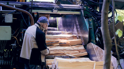 Brennholz - Waldenergie AG in Winznau - Holzpellets und Brennholz aus der Schweiz, Unterhalt von Naturstrassen 1