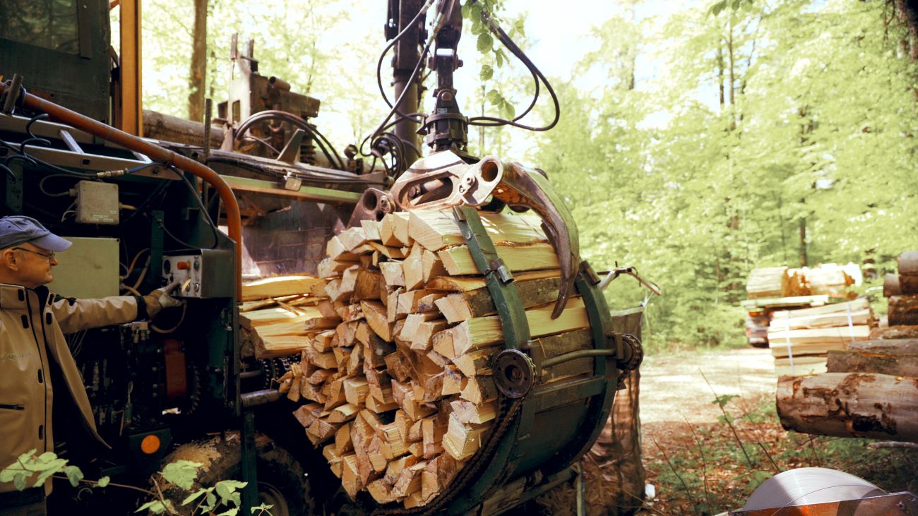 Effiziente Brennholzaufbereitung direkt vor Ort – im Wald oder auf Ihrem Gelände - Waldenergie AG in Winznau - Holzpellets und Brennholz aus der Schweiz, Unterhalt von Naturstrassen