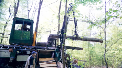 Effiziente Brennholzaufbereitung - Waldenergie AG in Winznau - Holzpellets und Brennholz aus der Schweiz, Unterhalt von Naturstrassen