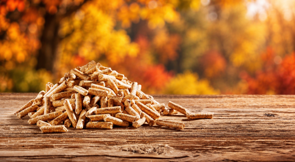Herbstaktion: pelprotec® geht auf uns.